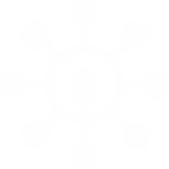 Vector